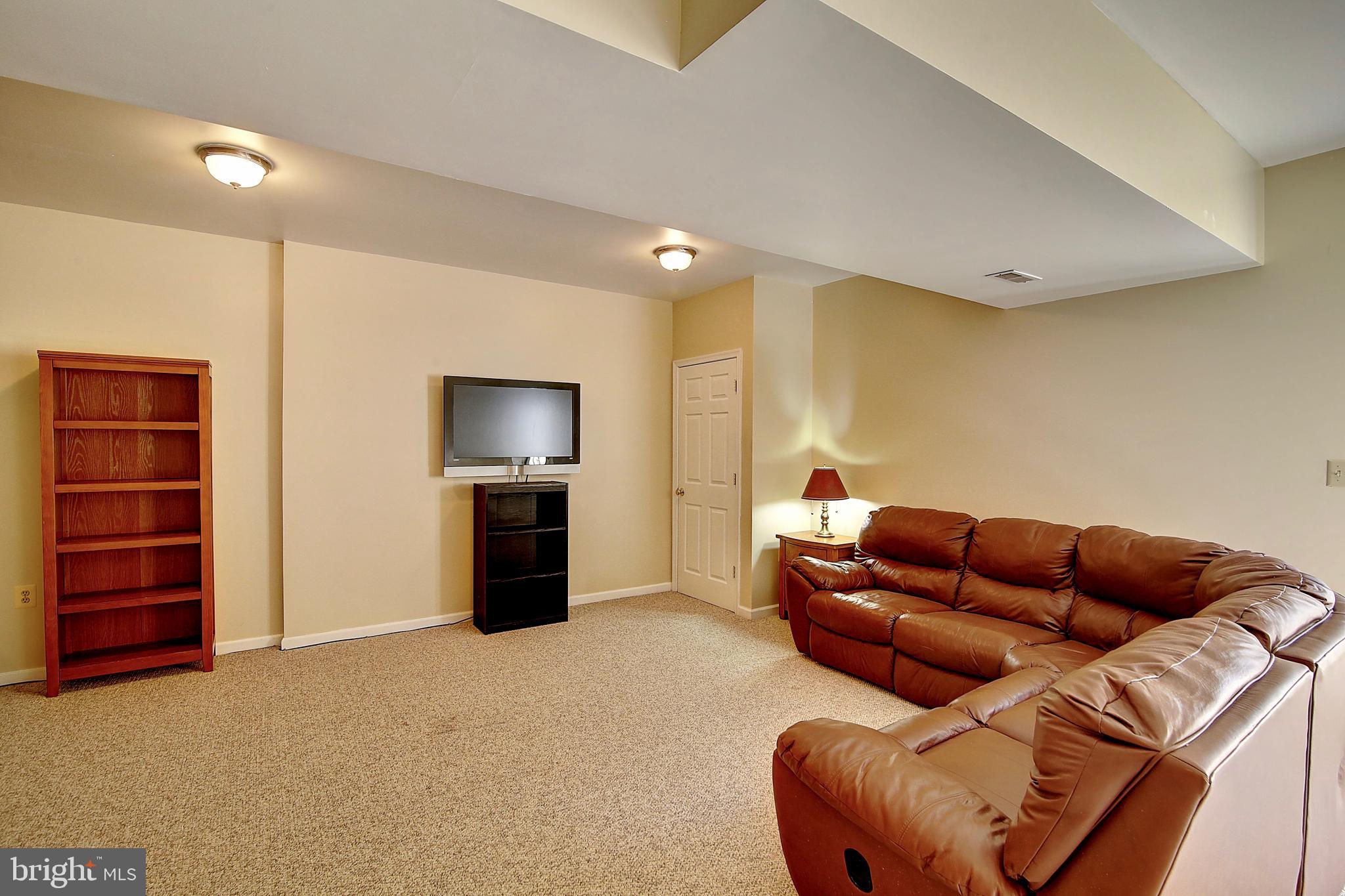 19169 Silcott Springs Road Purcellville, VA 20132 - Photo 45 of 70 Lower Level Family Room w/ Walk Out
