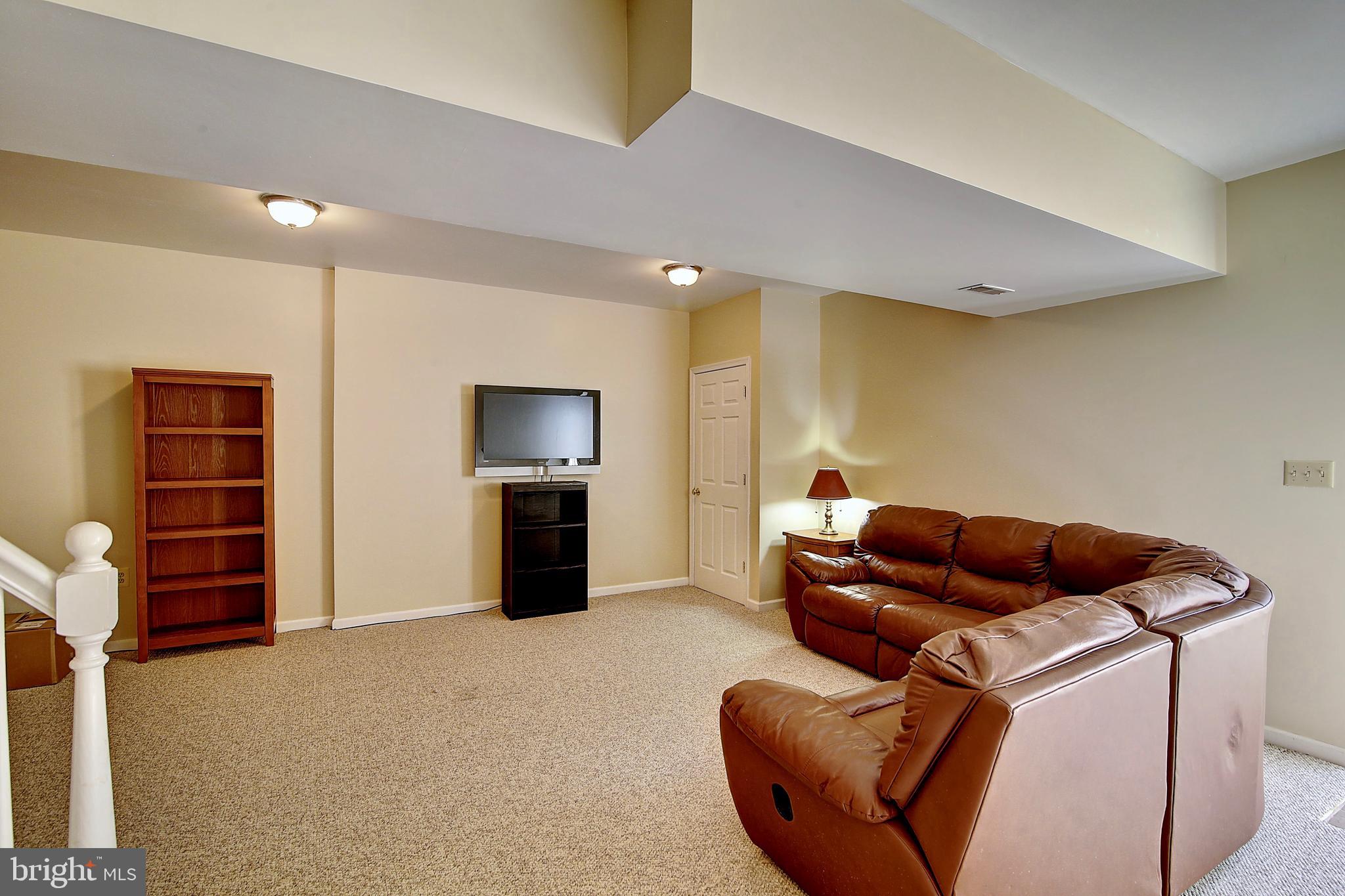 19169 Silcott Springs Road Purcellville, VA 20132 - Photo 47 of 70 Lower Level Family Room