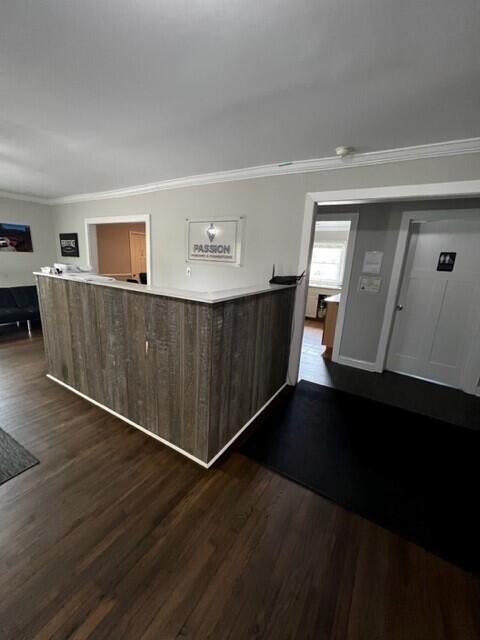 4218 River Road Johns Island, SC 29455 - Photo 16 of 24 rr8