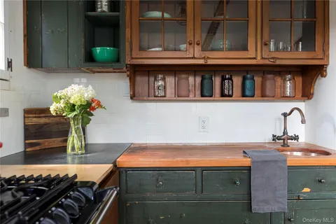 a kitchen with a stove and a potted plant