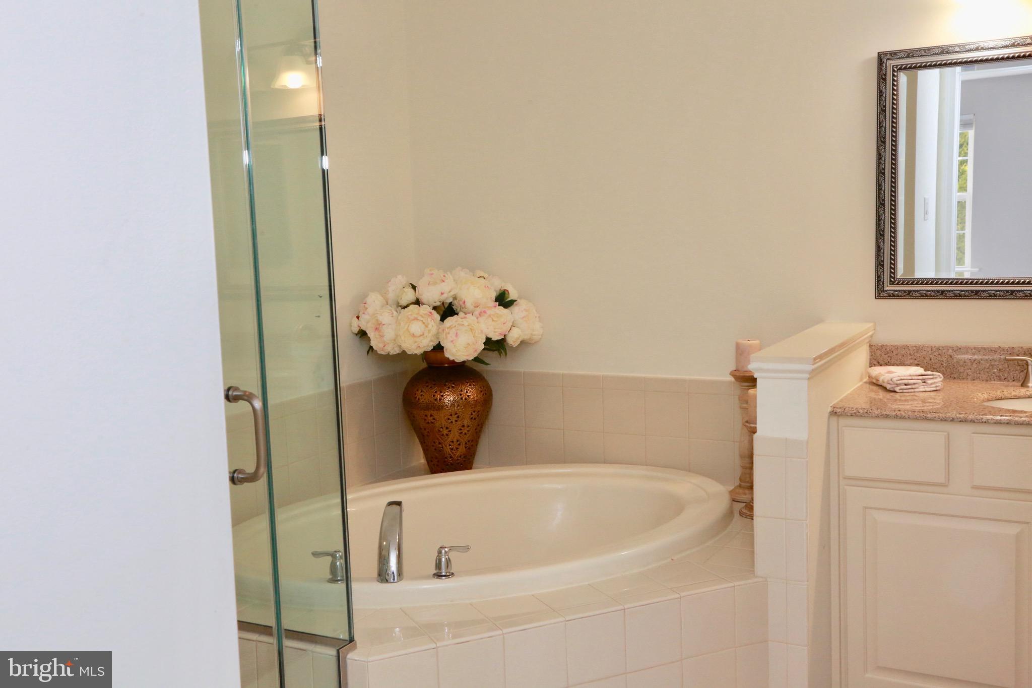 226 Flagstone Road, Unit 4 Chester Springs, PA 19425 - Photo 21 of 28 soaking tub
