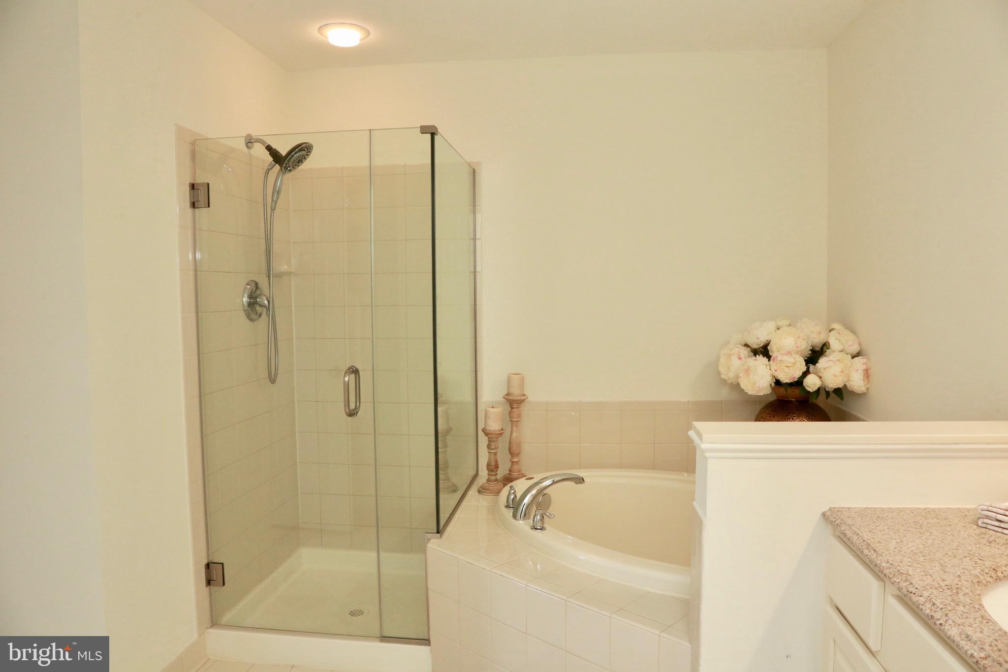 226 Flagstone Road, Unit 4 Chester Springs, PA 19425 - Photo 22 of 28 Glass shower
