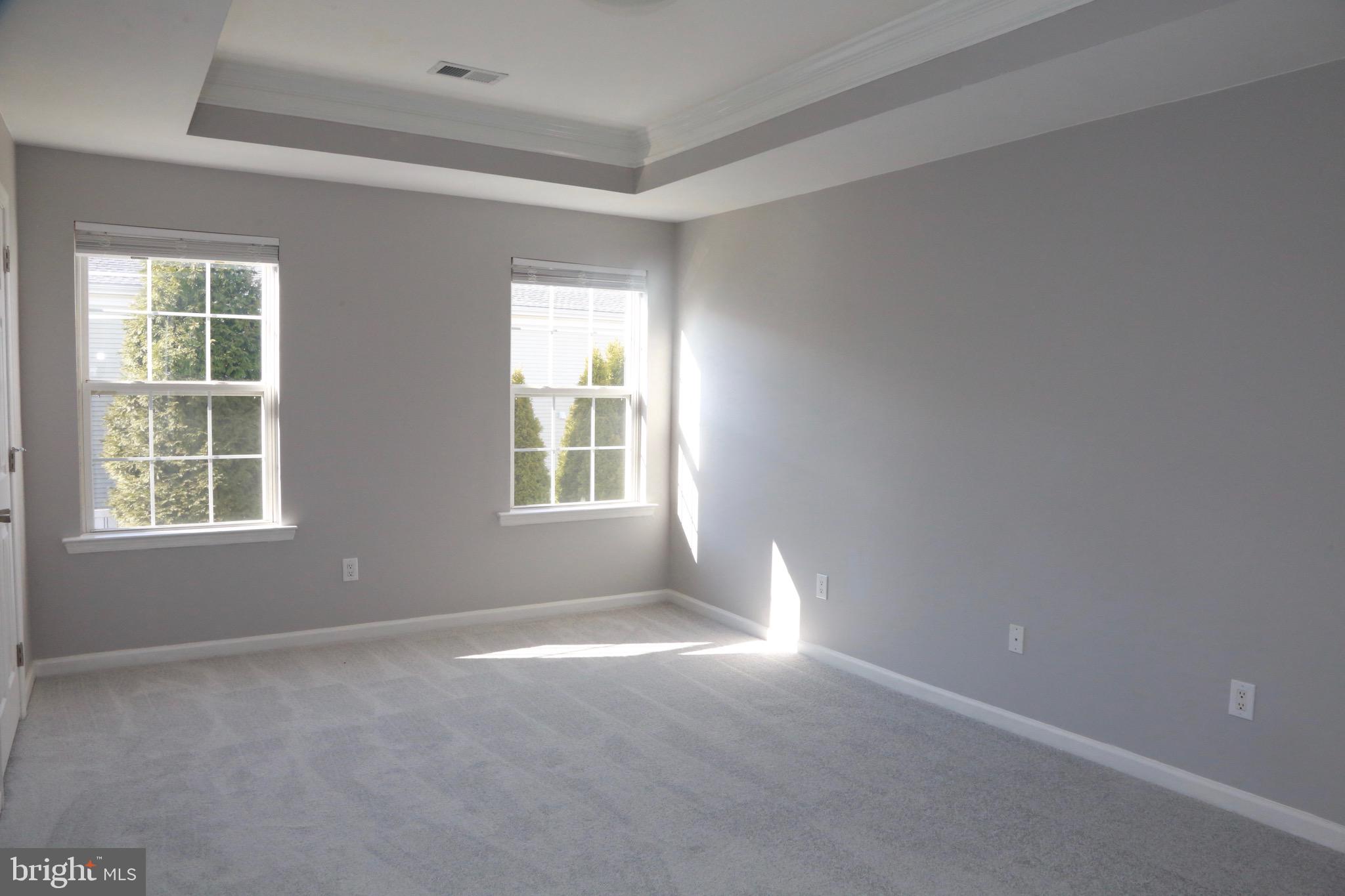 226 Flagstone Road, Unit 4 Chester Springs, PA 19425 - Photo 23 of 28 Tray ceiling