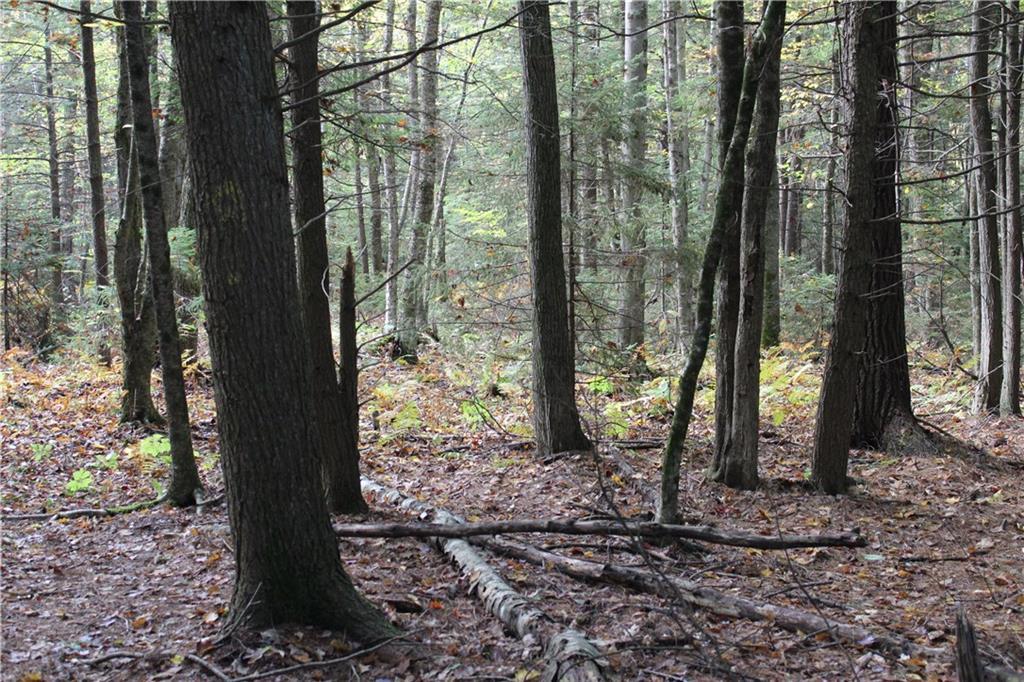 0 Whichers Mills Road Alfred, ME 04002 - Photo 6 of 8 Photo