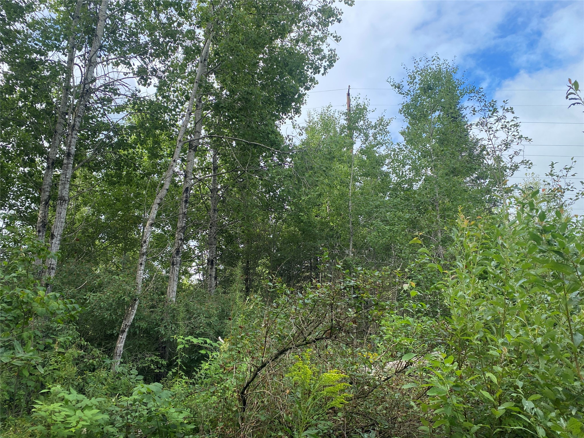 On Delap Lane Couderay, WI 54828 - Photo 2 of 4