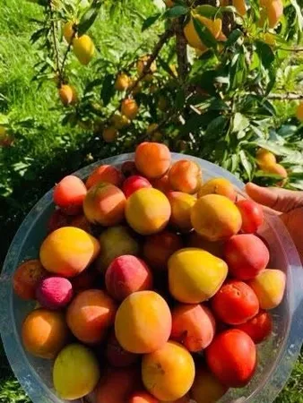 $429,000 | 60439 Fairway Court, Prairie du Chien, WI 53821