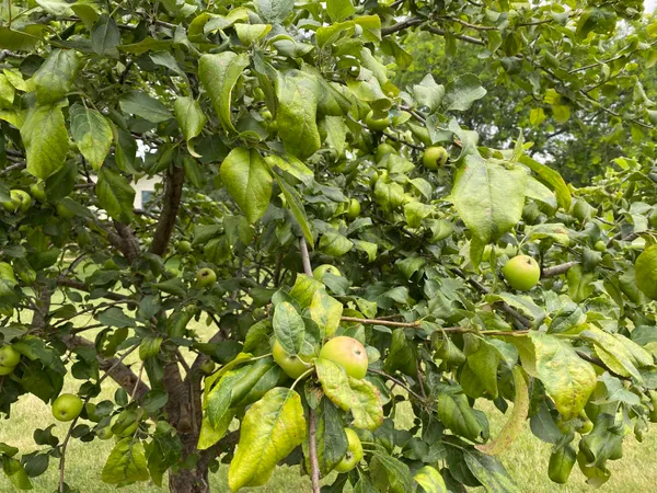 $429,000 | 60439 Fairway Court, Prairie du Chien, WI 53821