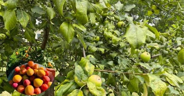 $429,000 | 60439 Fairway Court, Prairie du Chien, WI 53821