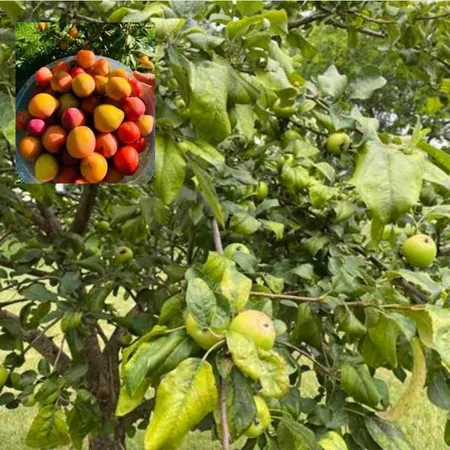 $429,000 | 60439 Fairway Court, Prairie du Chien, WI 53821