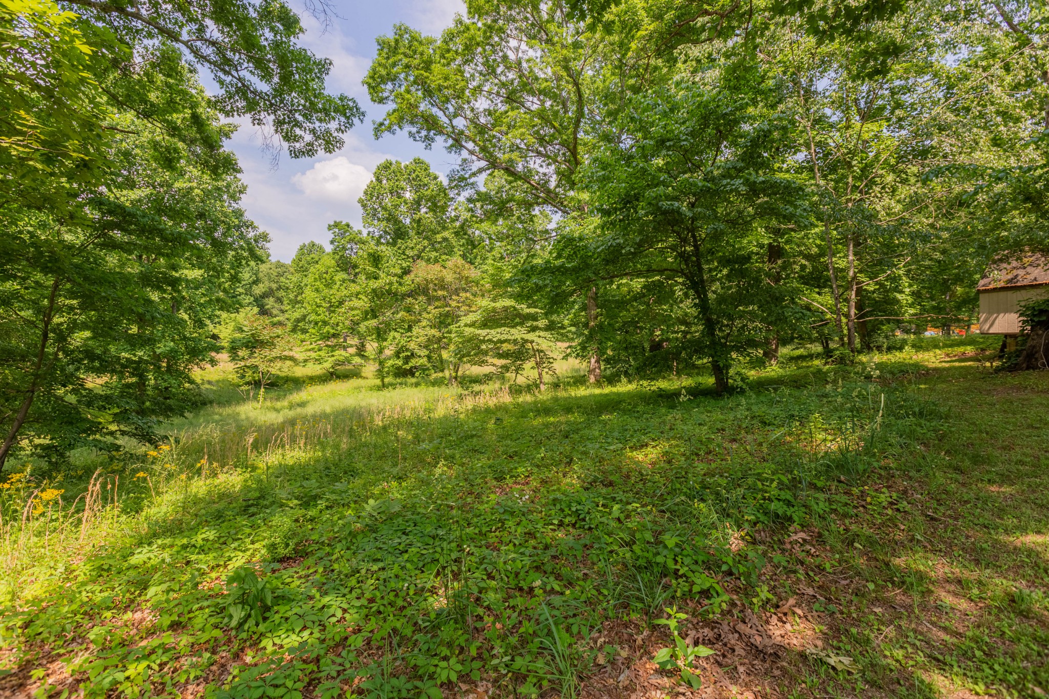 168 Woody Crest Road Dickson, TN 37055 - Photo 33 of 34 Gallery Image 33