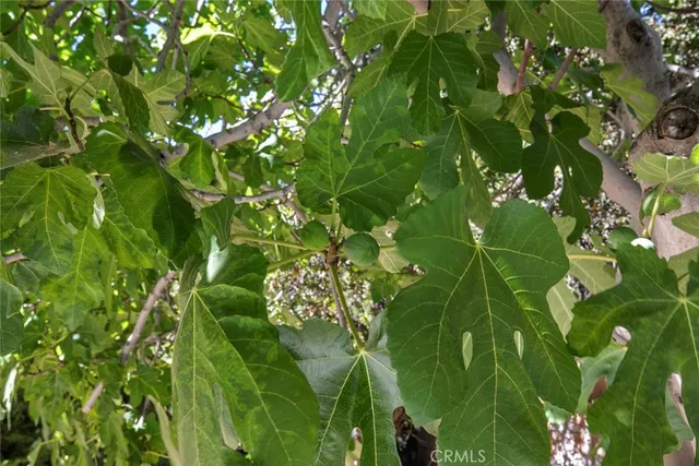 $799,000 | 20623 Russ Jay Street, Saugus, CA 91350