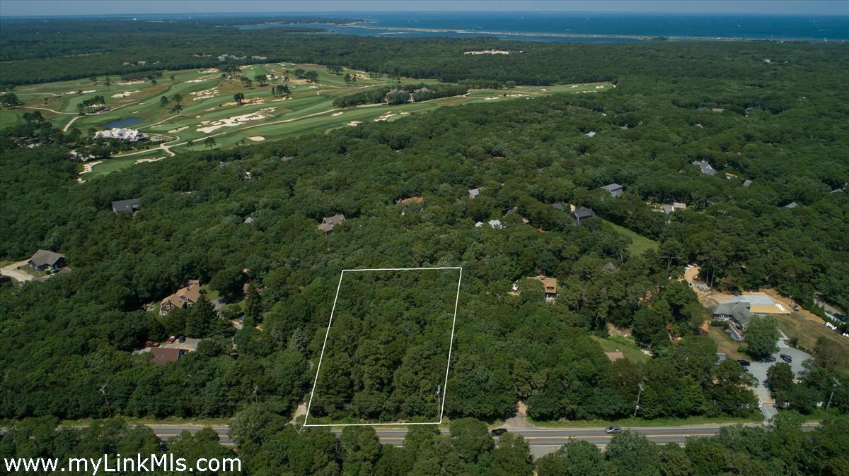 a view of a city with lush green forest