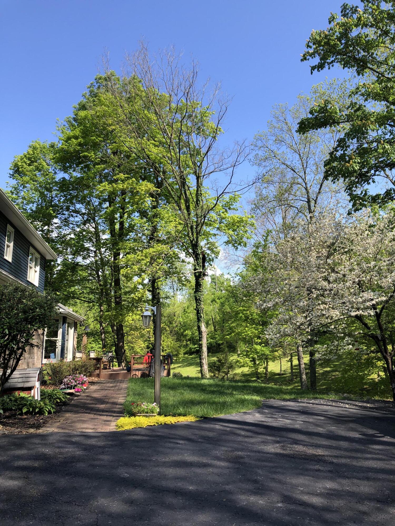 8645 Washington Trace Road California, KY 41007 - Photo 36 of 50