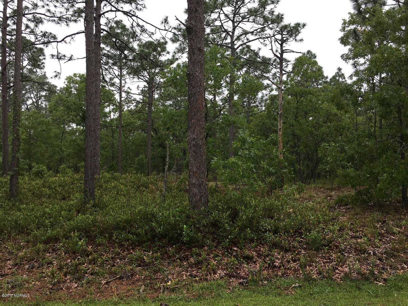 106 Woodcrest Road Southport, NC 28461 - Photo 2 of 5 LOT 106