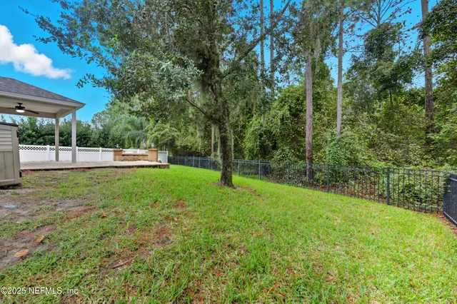 a view of a park with a tree