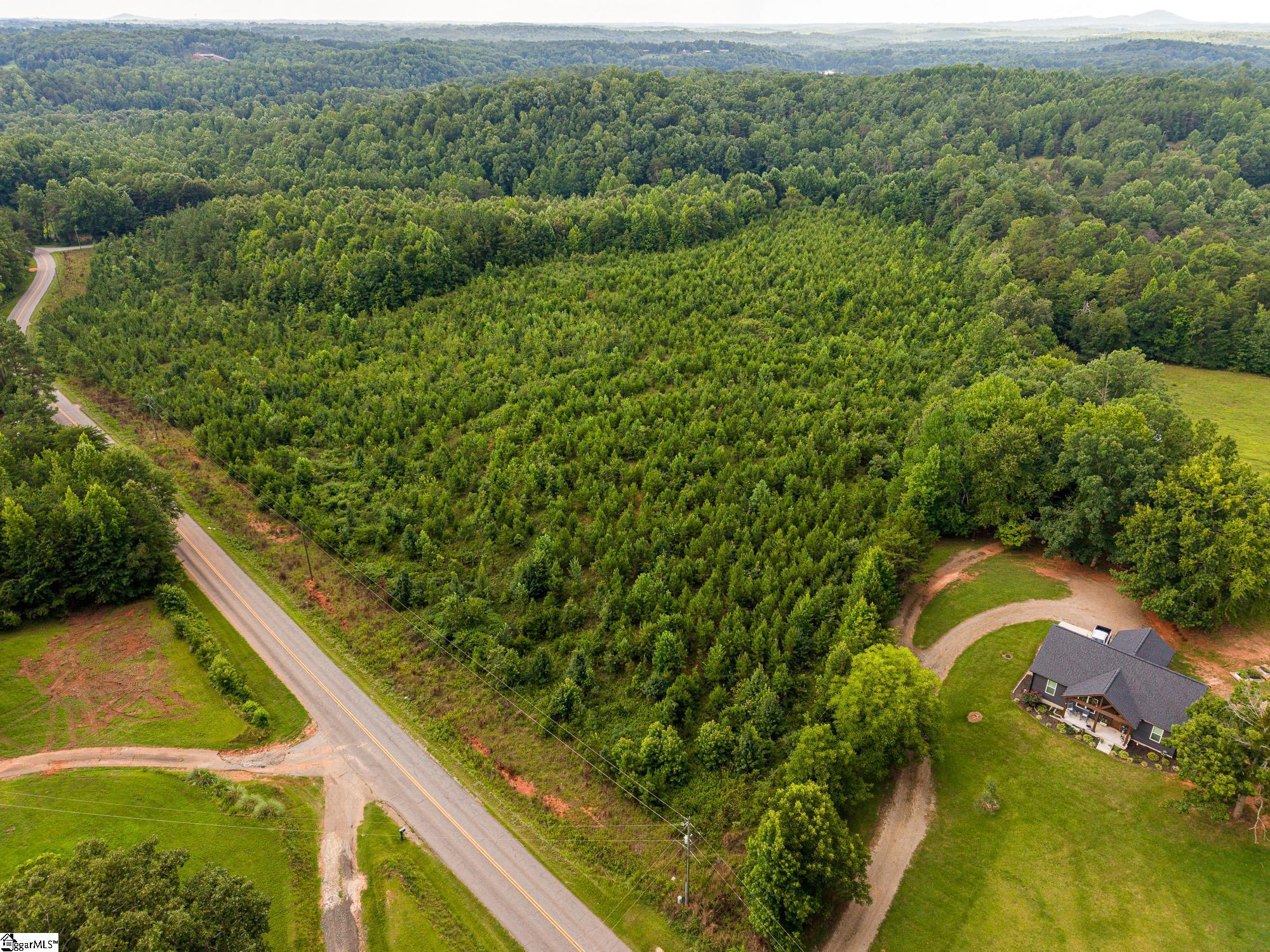 1 Hagood Mill Road Pickens, SC 29671 - Photo 2 of 5