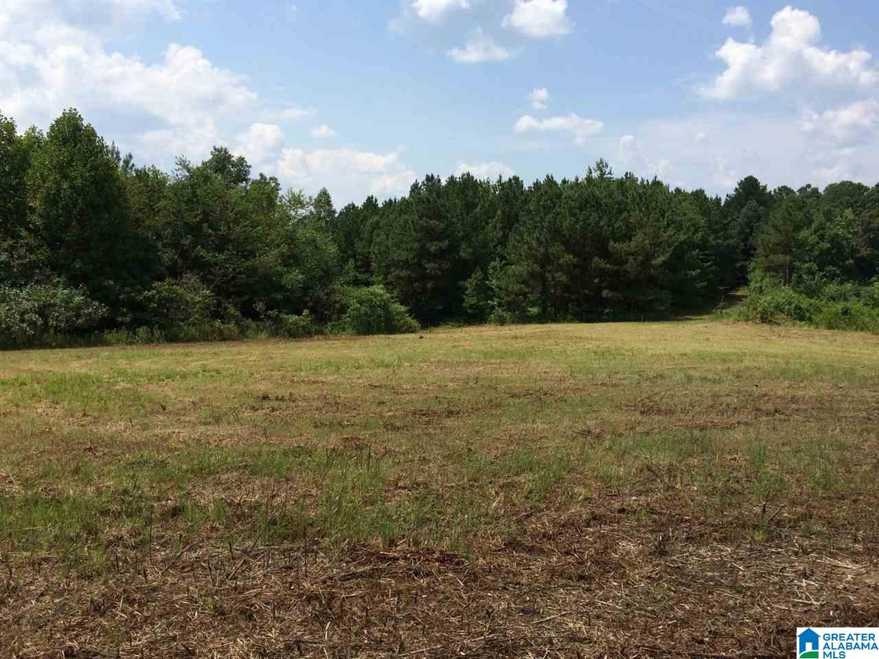 Spunky Hollow Road, Unit 18 7 Oneonta, AL 35121 - Photo 1 of 46