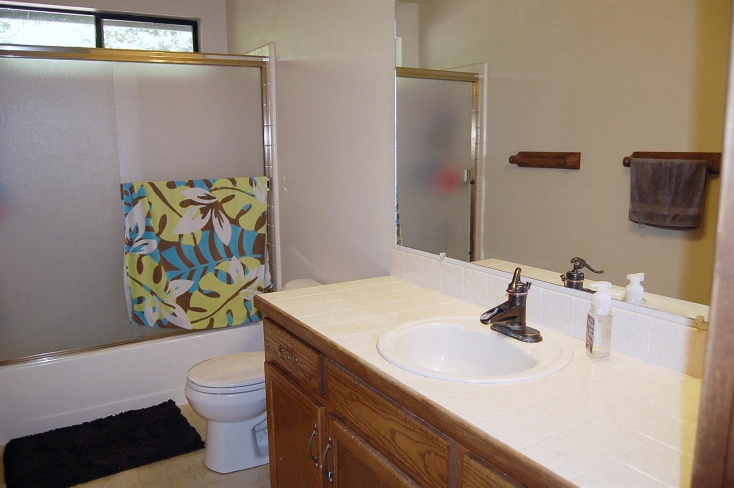 12221 Galice Road Merlin, OR 97532 - Photo 17 of 35 a bathroom with a sink a toilet and painting on the wall