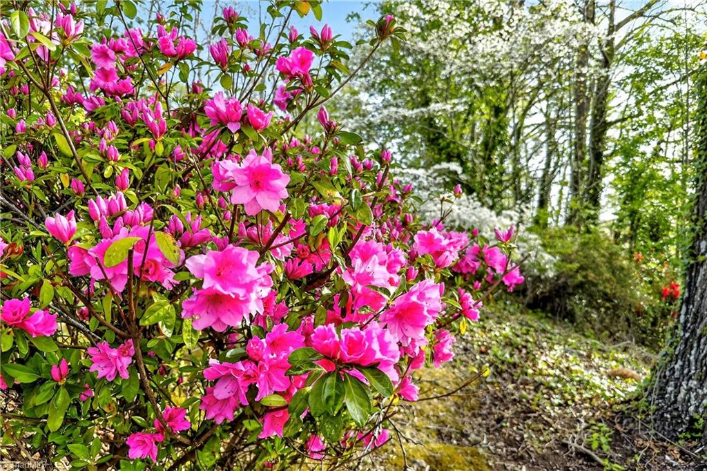 82 Landis Road Marion, NC 28752 - Photo 40 of 50