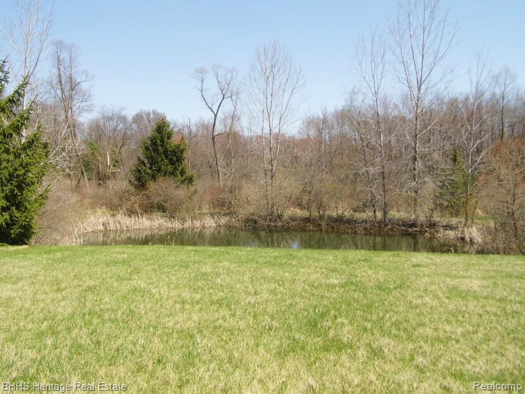 5647 Bull Run Road Gregory, MI 48137 - Photo 9 of 30