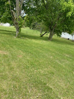 4309 Joe Peay Cemetery Road Spring Hill, TN 37174 - Photo 6 of 8 a view of field with trees in the background