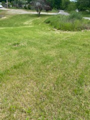 4309 Joe Peay Cemetery Road Spring Hill, TN 37174 - Photo 7 of 8 a view of outdoor space and yard