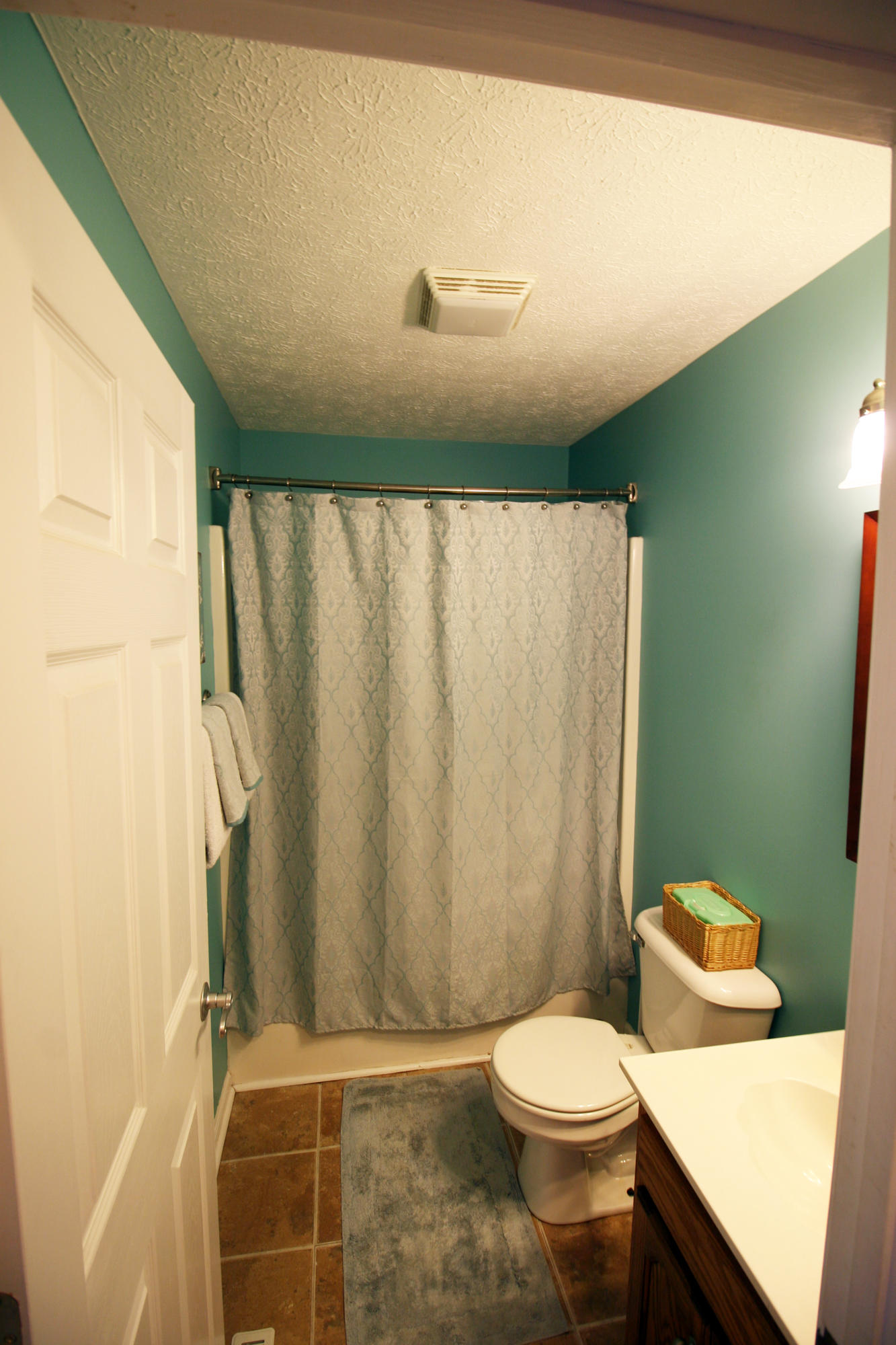372 Spring Meadows Drive Ringgold, GA 30736 - Photo 19 of 29 hall-bath