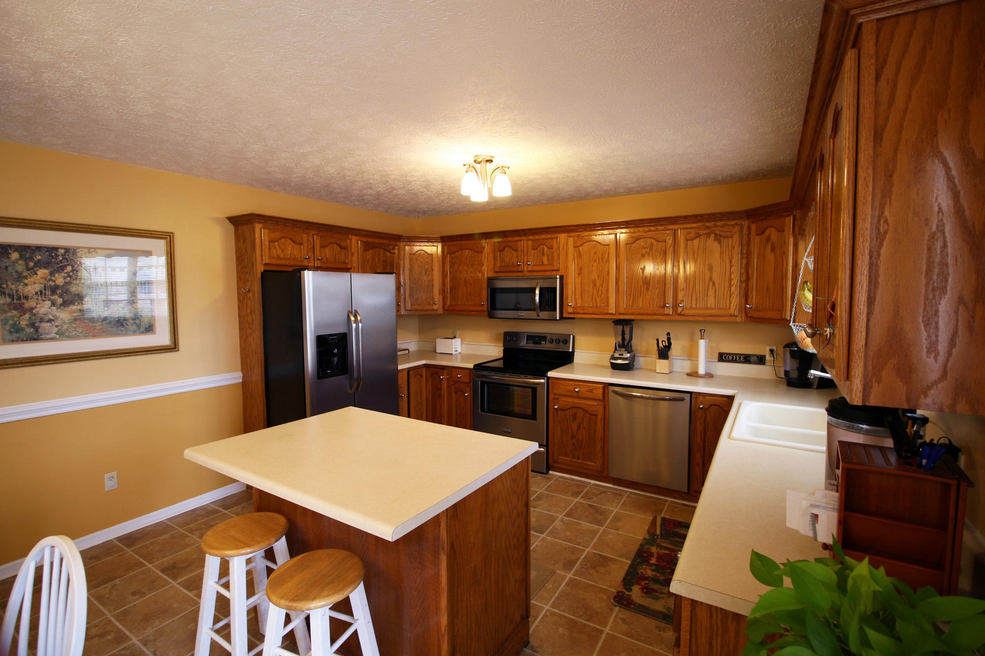 372 Spring Meadows Drive Ringgold, GA 30736 - Photo 3 of 29 kitchen-appliance-corner