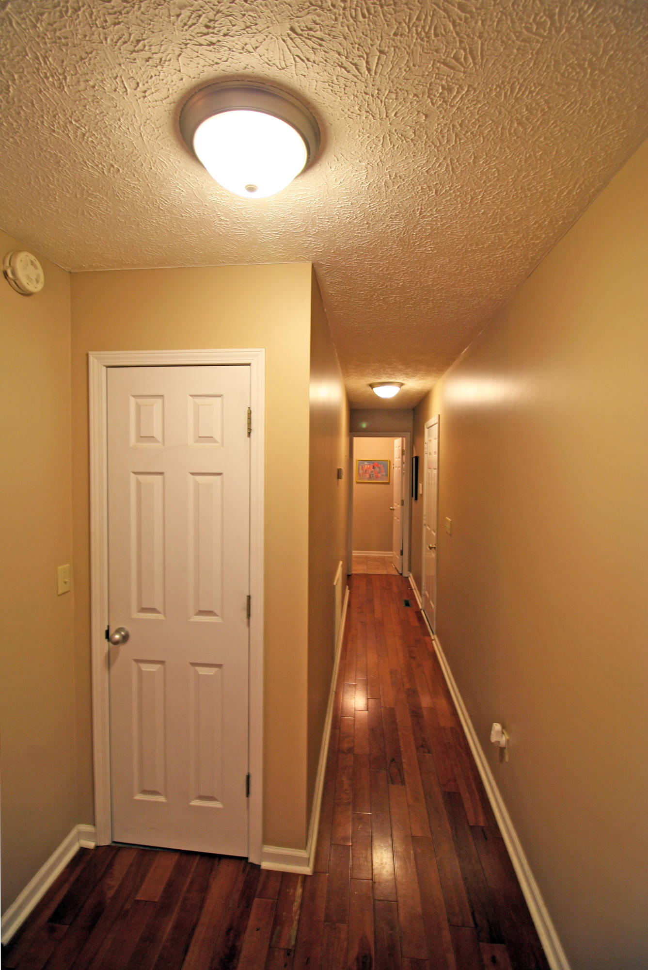 372 Spring Meadows Drive Ringgold, GA 30736 - Photo 8 of 29 hallway