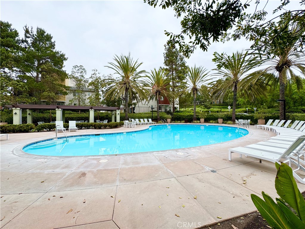 41 Clifford Lane Ladera Ranch, CA 92694 - Photo 26 of 37 Community Pool