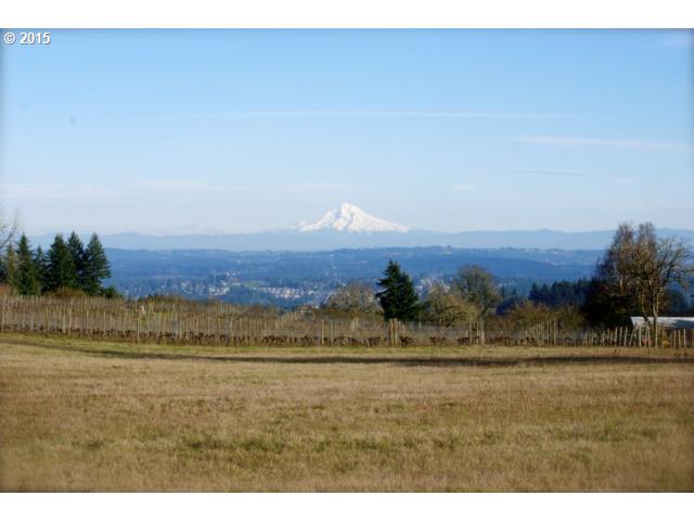 21711 Southwest Chapman Road Sherwood, OR 97140 - Photo 1 of 20 Gallery Image 1