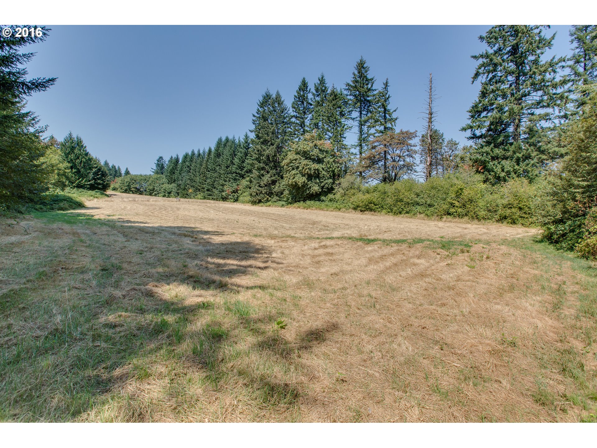 21711 Southwest Chapman Road Sherwood, OR 97140 - Photo 13 of 20 Gallery Image 13
