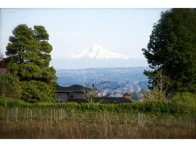 21711 Southwest Chapman Road Sherwood, OR 97140 - Photo 2 of 20 Gallery Image 2