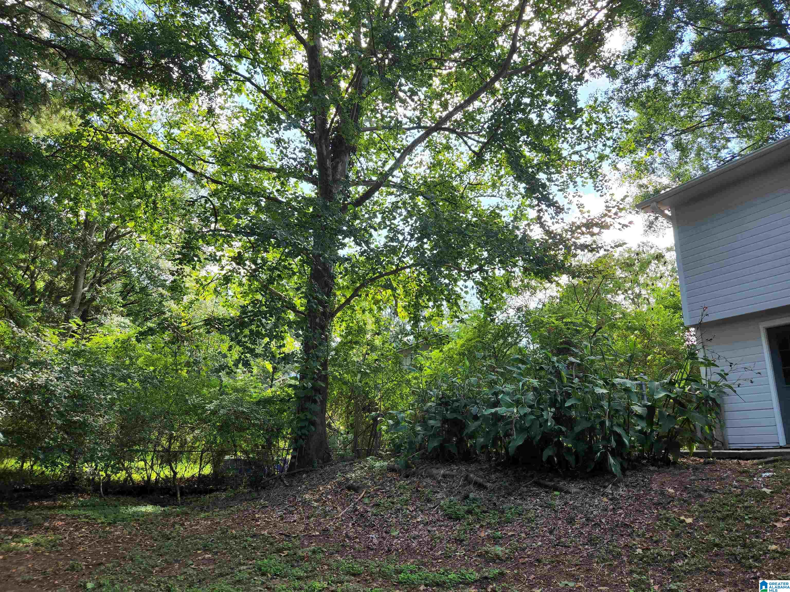 1 Monte Verde Lane Montevallo, AL 35115 - Photo 29 of 33