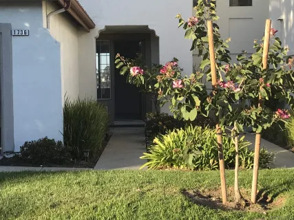 $4,300 | 1736 Bluebird Lane, Carlsbad, CA 92011