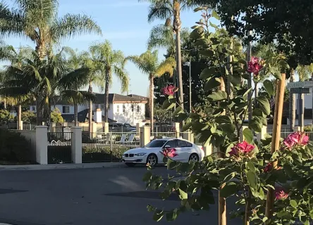 $4,300 | 1736 Bluebird Lane, Carlsbad, CA 92011