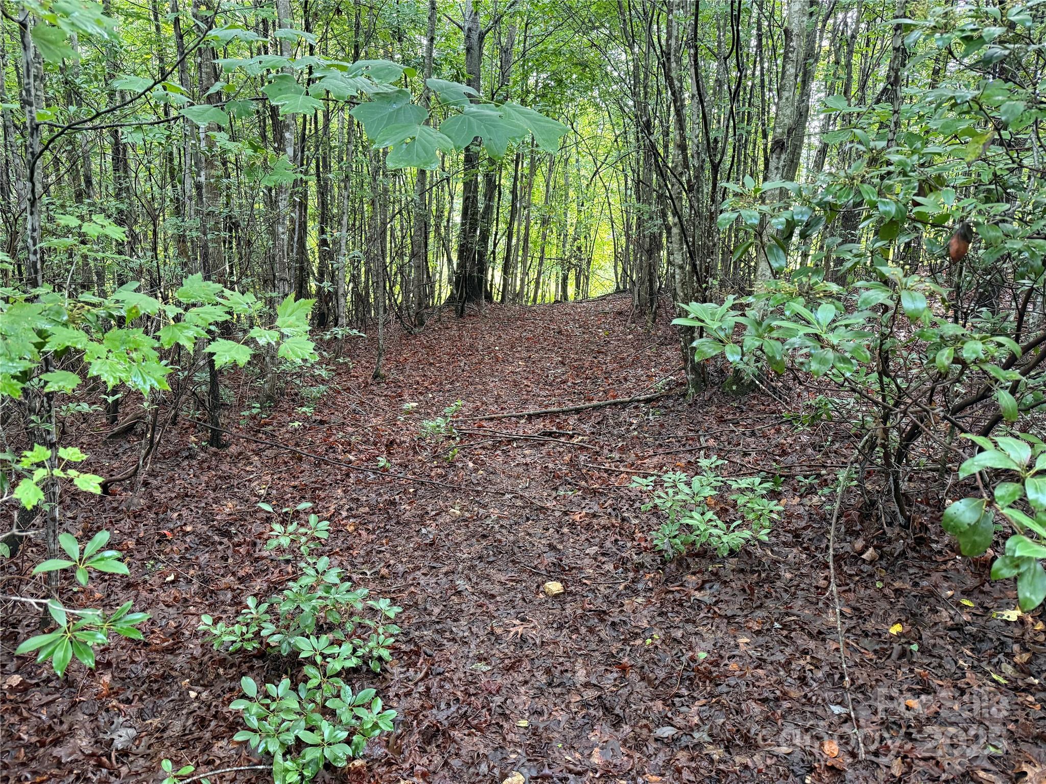 637 Ridge Road Marion, NC 28752 - Photo 12 of 18 a view of outdoor space and garden