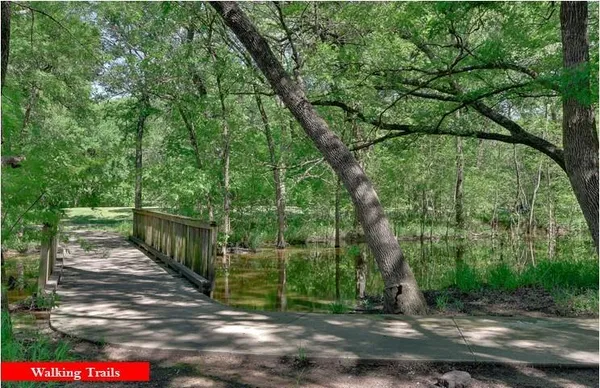 a view of a lake with palm trees
