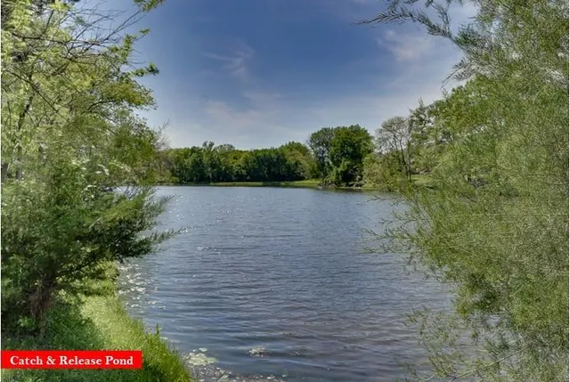 a view of a park with large trees