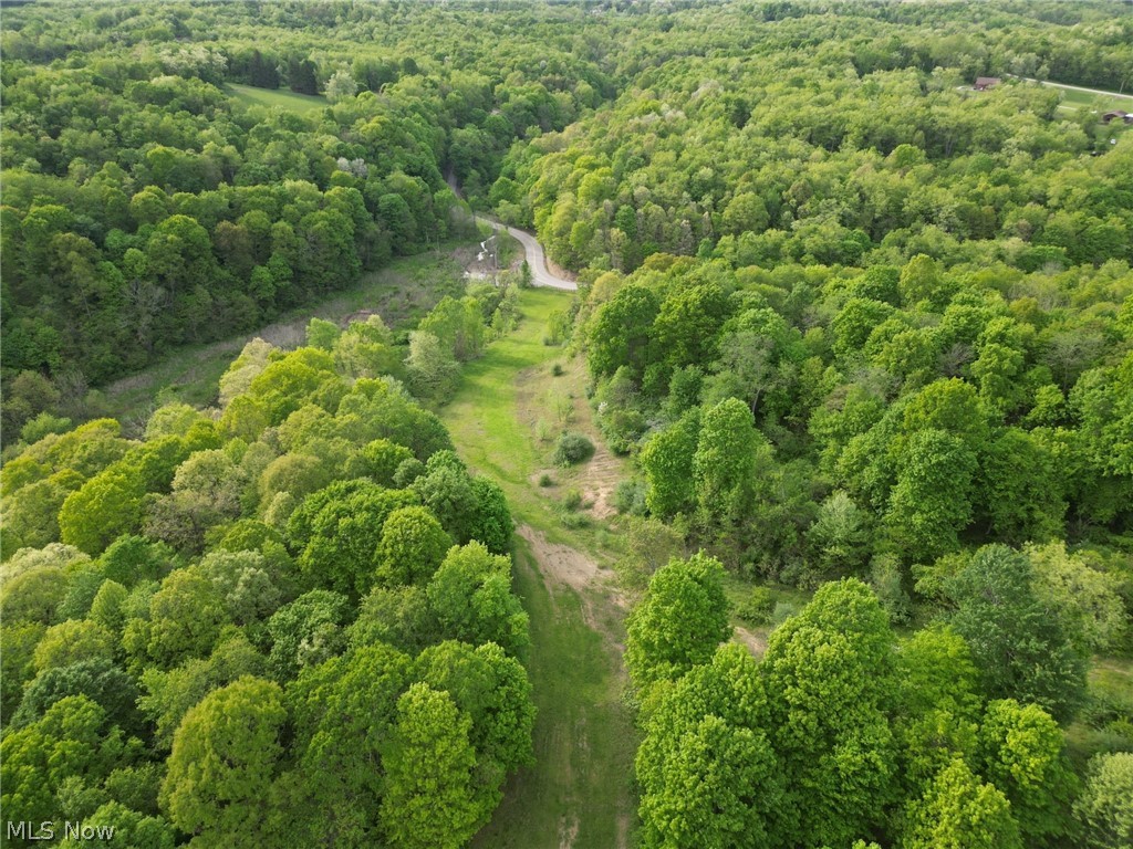 0 Kragel Road Richmond, OH 43944 - Photo 30 of 31 View of aerial view