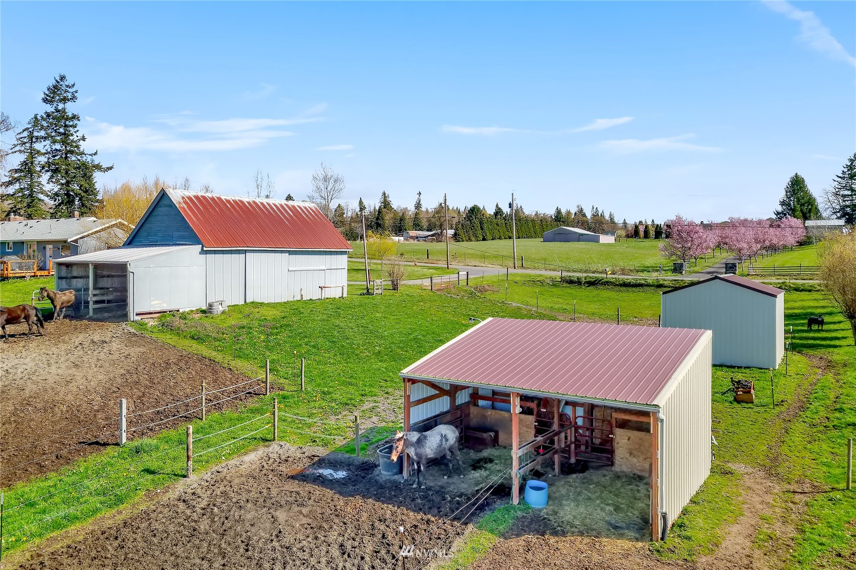 5397 Olson Road Ferndale, WA 98248 - Photo 36 of 40 a view of a yard with table and chairs under an umbrella