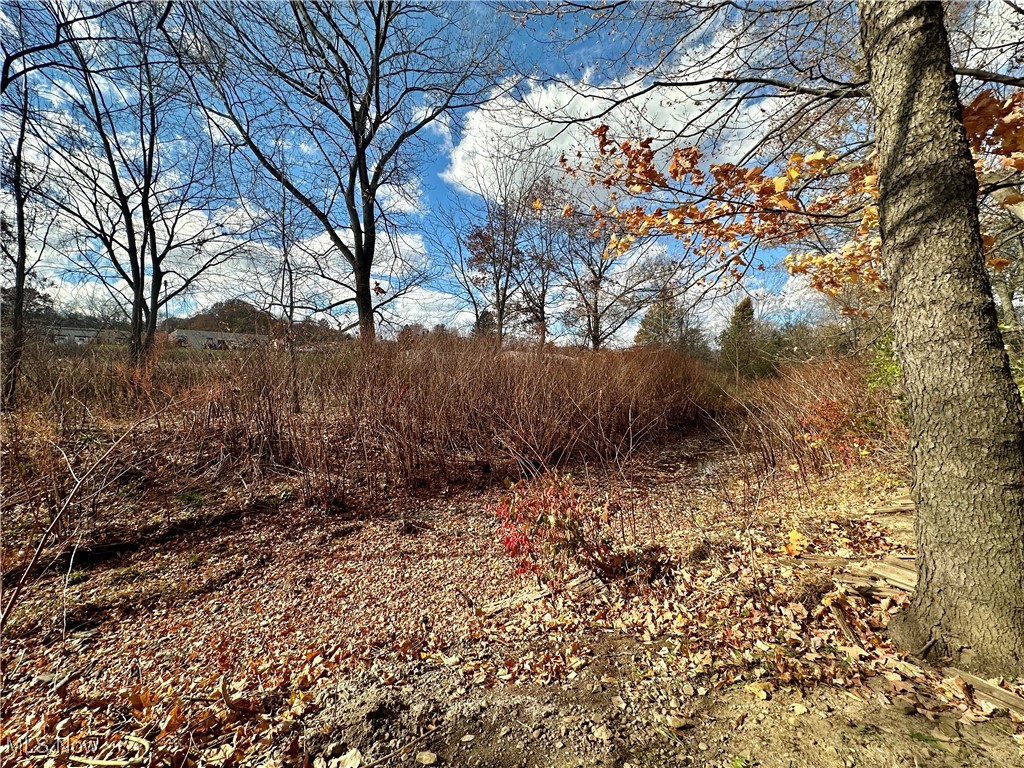 824 Upton Road Youngstown, OH 44509 - Photo 44 of 50 Creek