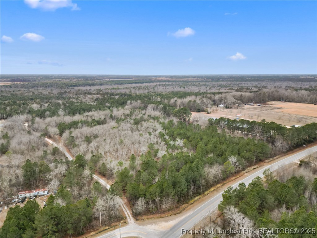 Doe Hill Road Autryville, NC 28318 - Photo 1 of 9 Gallery Image 1