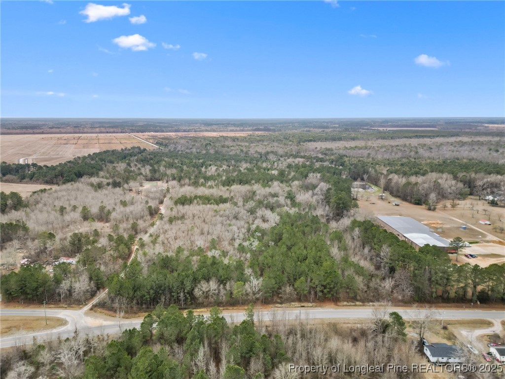 Doe Hill Road Autryville, NC 28318 - Photo 2 of 9 Gallery Image 2
