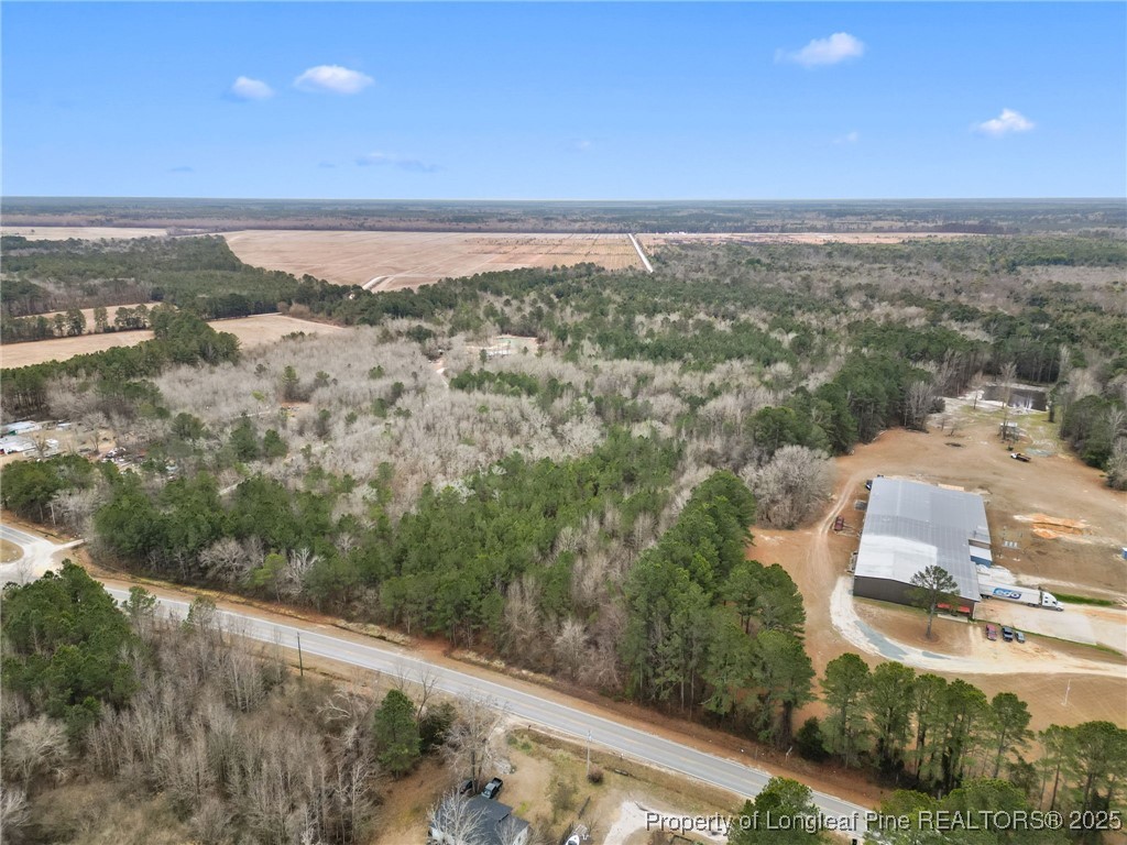 Doe Hill Road Autryville, NC 28318 - Photo 3 of 9 Gallery Image 3