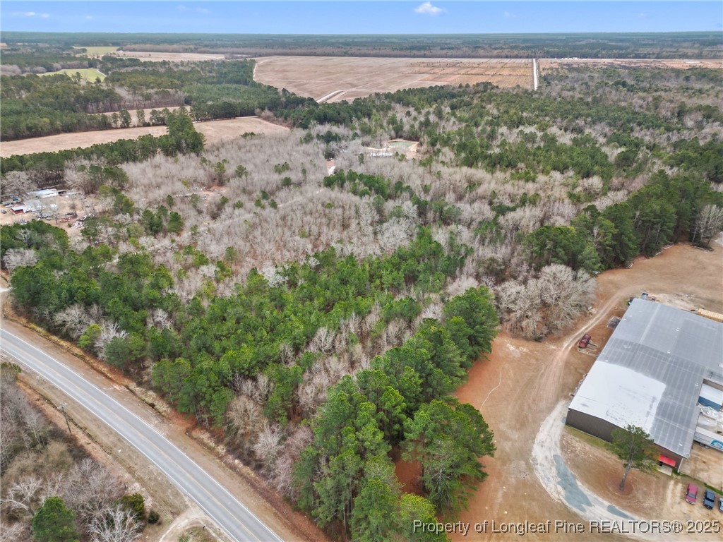 Doe Hill Road Autryville, NC 28318 - Photo 4 of 9 Gallery Image 4