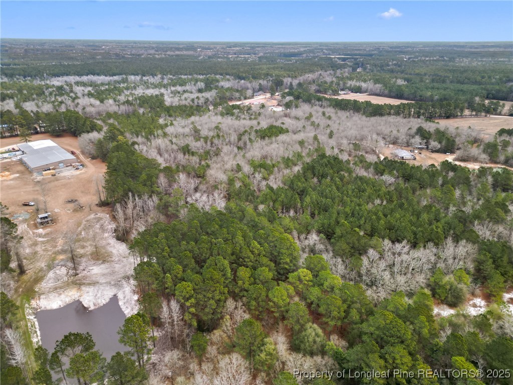 Doe Hill Road Autryville, NC 28318 - Photo 5 of 9 Gallery Image 5