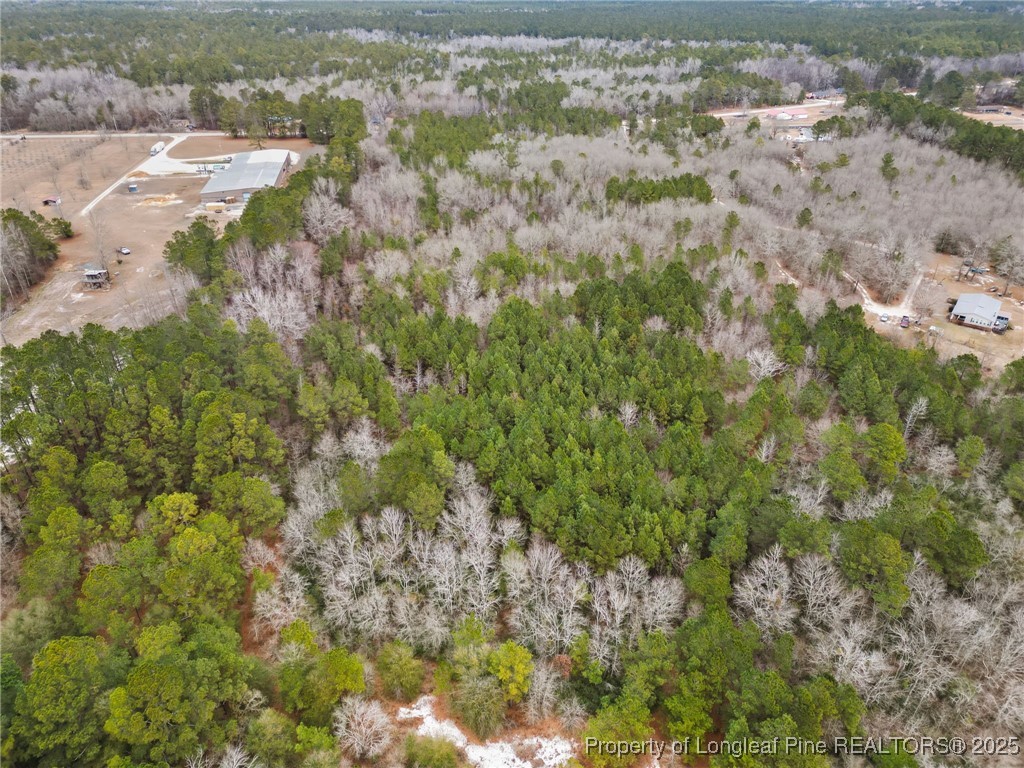 Doe Hill Road Autryville, NC 28318 - Photo 6 of 9 Gallery Image 6