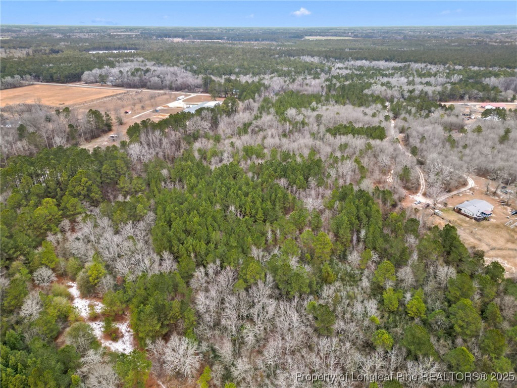 Doe Hill Road Autryville, NC 28318 - Photo 7 of 9 Gallery Image 7
