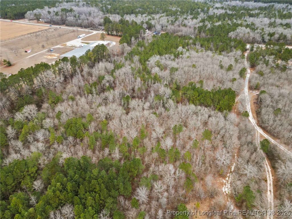 Doe Hill Road Autryville, NC 28318 - Photo 8 of 9 Gallery Image 8